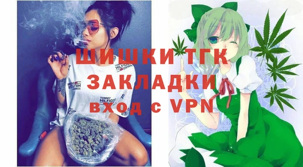 индика Верея